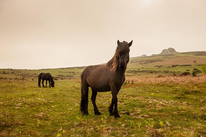 5-Day Devon and Cornwall Small-Group Tour from London - Why This Route Is Special (Even When You’re Time-Constrained)