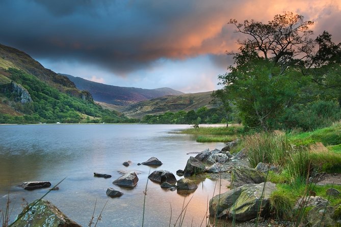 5-Day Discover Wales Small-Group Tour from London - Your Coach and Driver-Guide: The Pace That Makes It Work