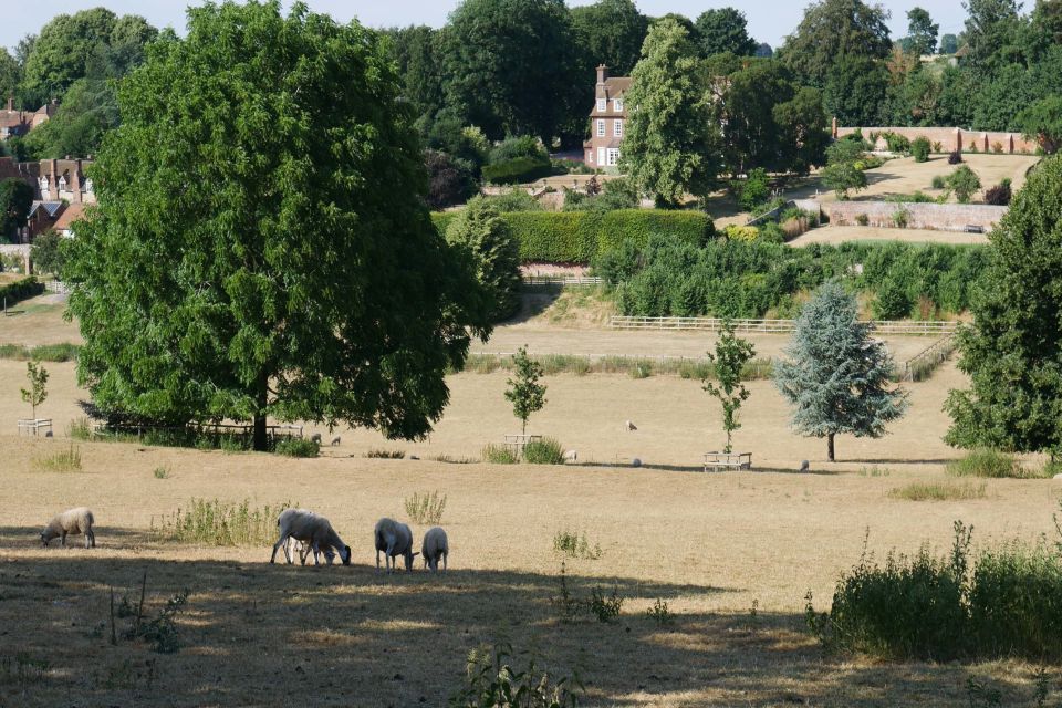 Day-Tour of the Midsomer Murders Locations - Timing, Breaks, and Comfort Tips for a Long Day