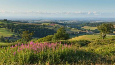 From London: Canterbury & White Cliffs of Dover Tour - Getting Started: DoubleTree by Hilton, Tower Hill, and a Calm Morning