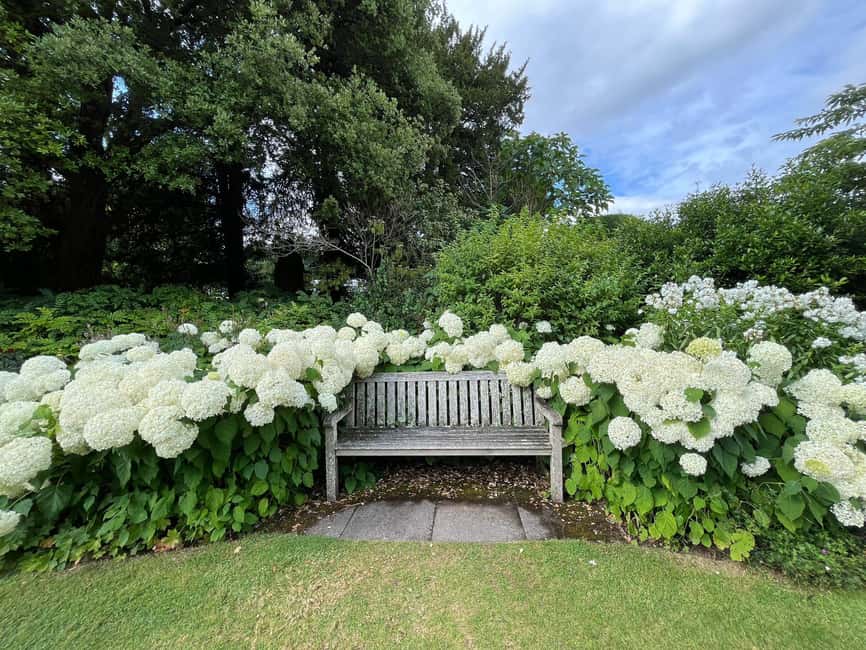 From London: Day Trip to Downton Abbey, Oxford and Bampton - Who This Tour Suits Best