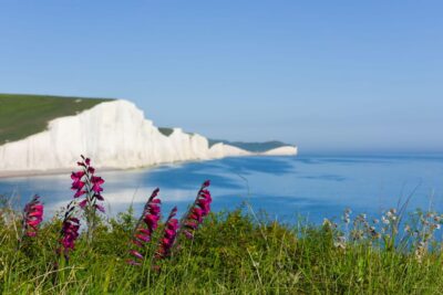 From London: Seven Sisters and Brighton Full-Day Tour - The Brighton rhythm: a quick break before the cliffs