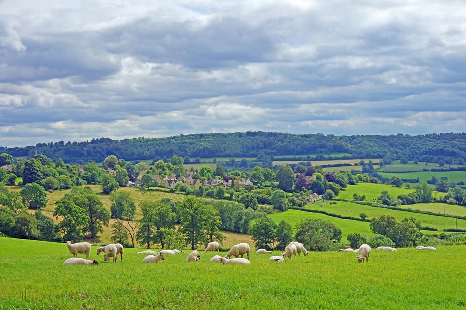 From London: Small Group Stonehenge, Bath & Cotswolds Tour - Castle Combe: a focused Cotswolds village stop