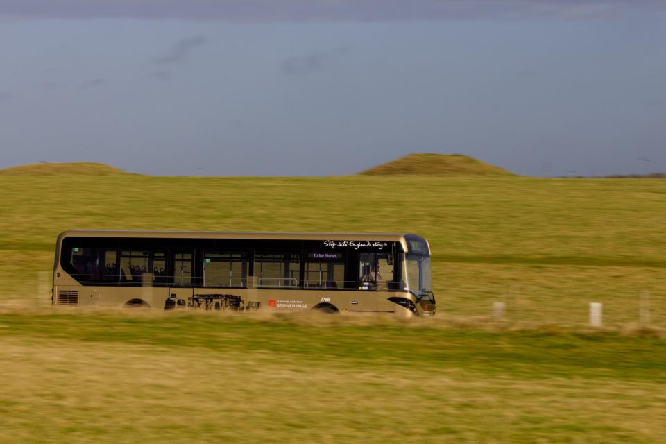 From London: Stonehenge & Roman Baths Full-Day Trip - The guide and driver quality is a major part of the value