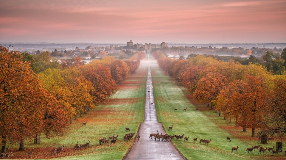 From London: Stonehenge, Windsor and Salisbury Guided Tour - Salisbury Cathedral: the inside look with a specialist guide