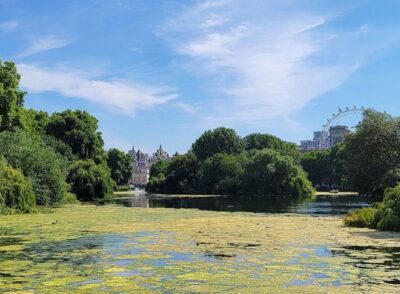 London: Buckingham, Big Ben & Westminster Abbey Tour - Where You Meet by Parliament Square (And Why That’s Helpful)