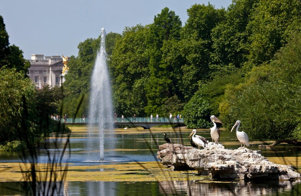 London: Buckingham Palace State Rooms & Royal Walking Tour - FAQ