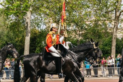London: Changing of the Guard Tour by Buckingham Palace - Meet at the Duke of York Monument, not the palace gates