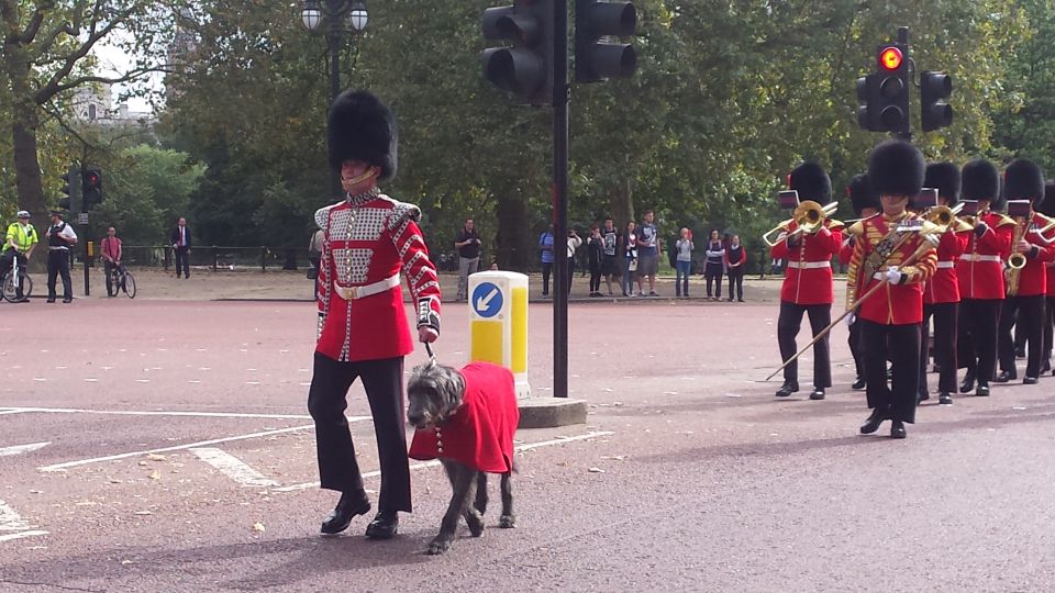 London: Changing of the Guard Walking Tour - Price and value: what you’re paying for (and what you get)