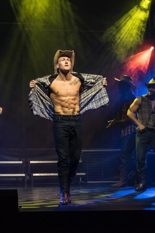 London: Forbidden Nights Male Strip Show and After-Party - The show itself: male revue, uniform fantasy, and a crowd-friendly mood