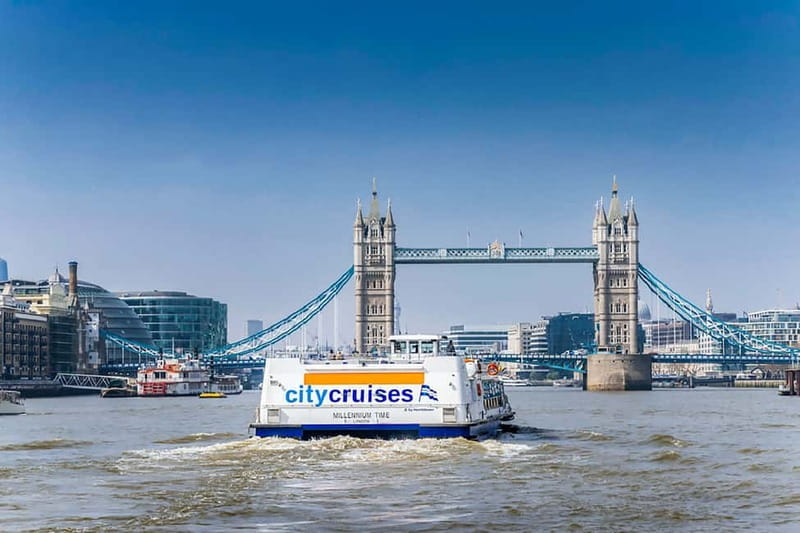 London: Fully Flexible River Thames Sightseeing Pass - Kids on the Thames: Activity Books and Attention-Friendly Timing