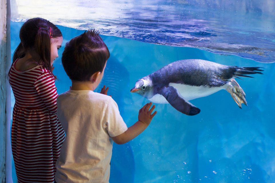 London: Madame Tussauds, SEA LIFE and London Dungeon Entry - Key points to know before you go