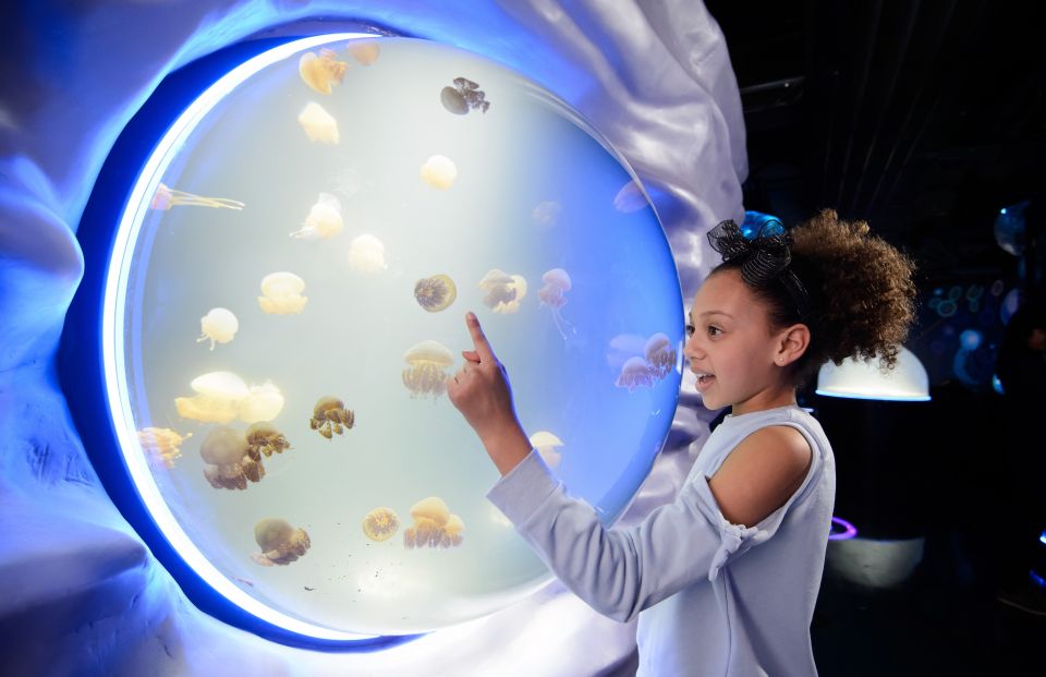 London: Madame Tussauds, SEA LIFE and London Dungeon Entry - A 90-day pass for three London icons