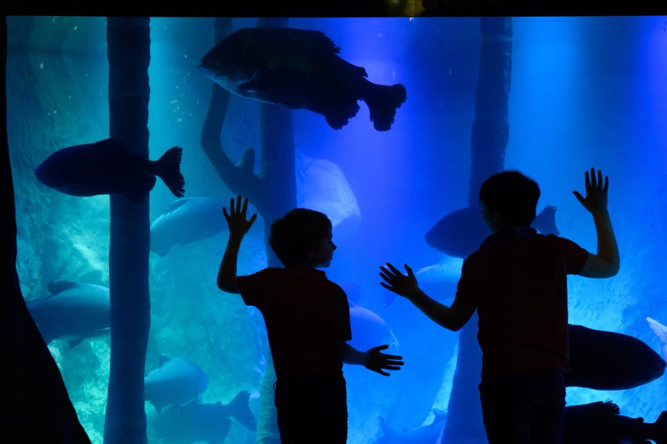 London: Madame Tussauds, SEA LIFE and London Dungeon Entry - SEA LIFE London: 14 themed zones across 3 floors