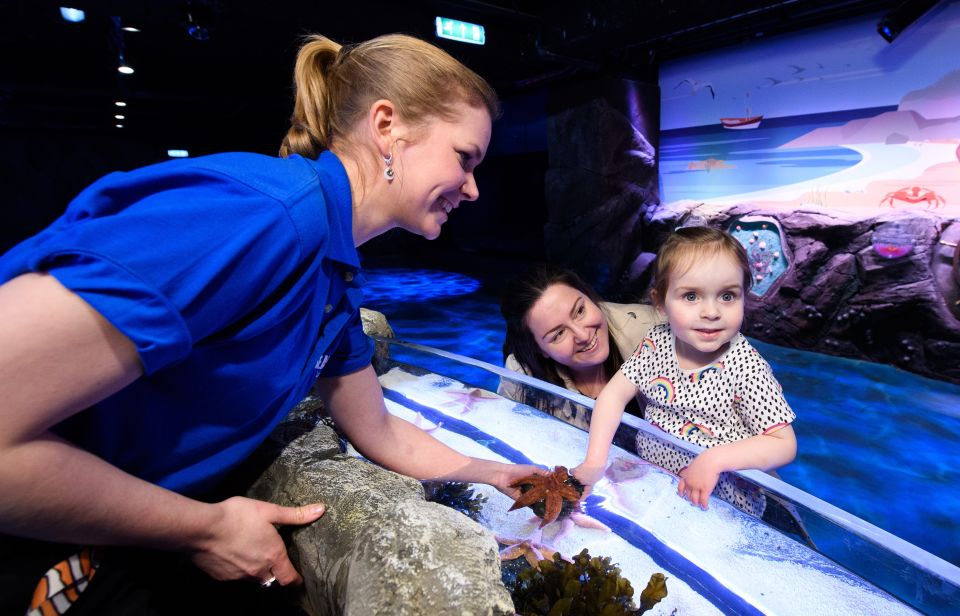 London: Madame Tussauds, SEA LIFE and London Dungeon Entry - Practical rules that affect your visit day