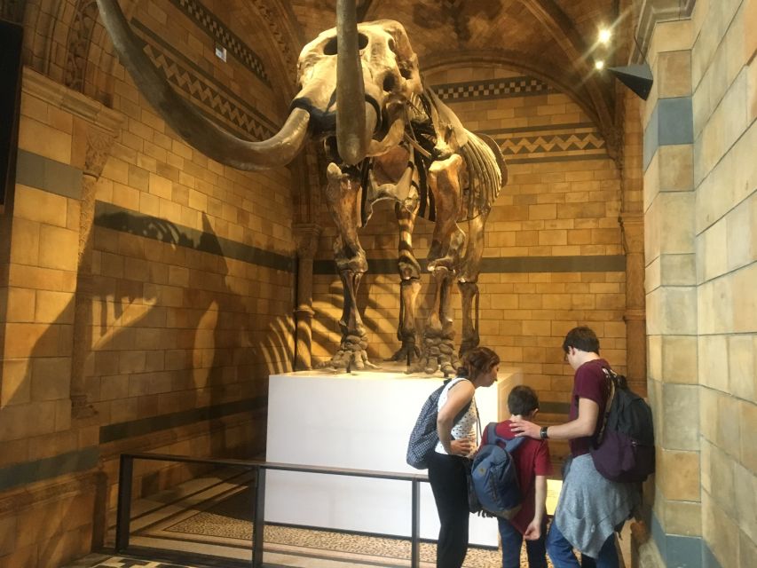 London: Natural History Museum Entry Ticket and Guided Tour - Start here: getting to the meeting point near South Kensington