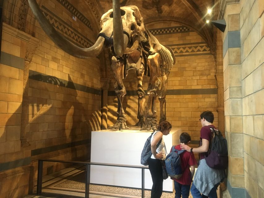 London: Natural History Museum Entry Ticket and Guided Tour - Hintze Hall in person: dinosaurs and the blue whale’s 82-foot scale