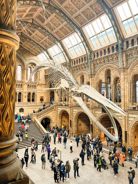London: Natural History Museum Guided Tour - Key Highlights Worth Planning Around