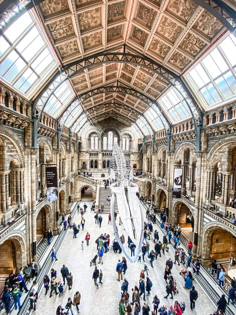 London: Natural History Museum Guided Tour - Why This London Natural History Tour Works Better Than Self-Guided