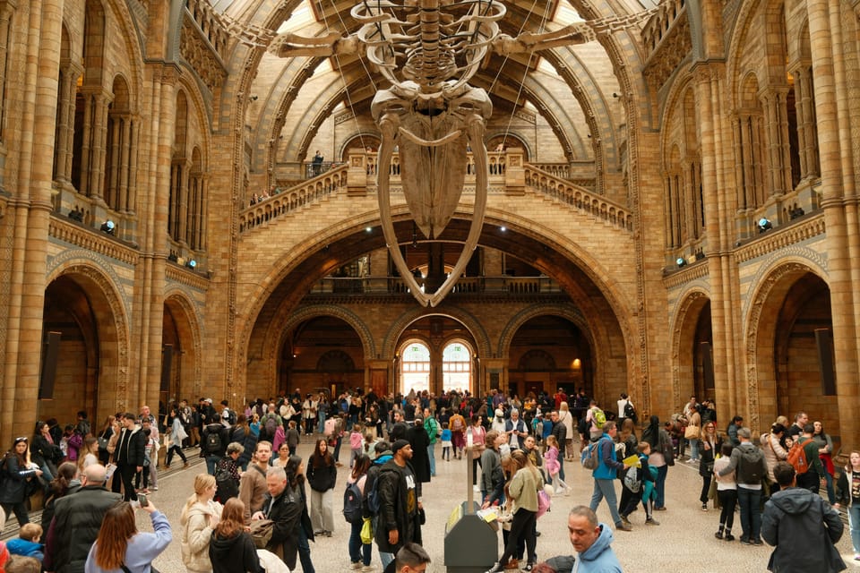 London: Natural History Museum Guided Tour - What You Really Pay For: Price, Time, and Guide Value