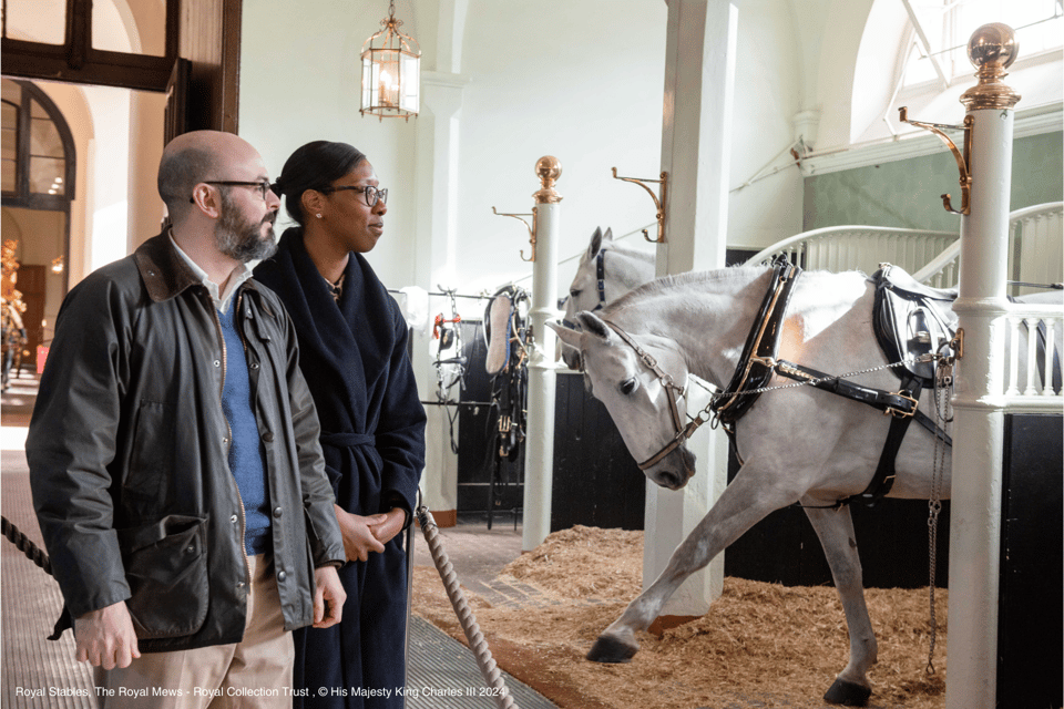 London: Royal Walking Tour with Guard Change & Royal Mews - Who this tour fits best (and who might prefer something else)