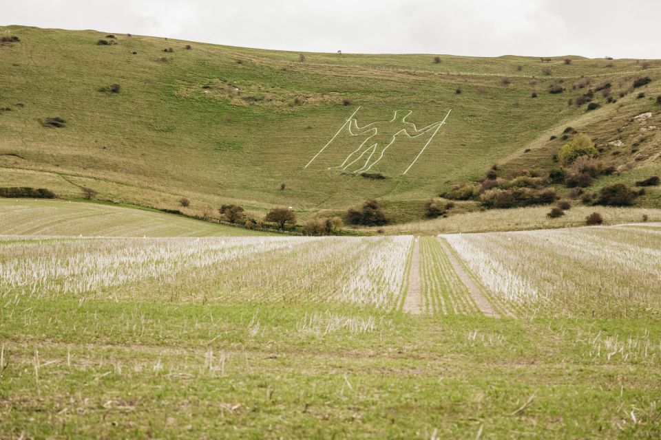London: South Downs White Cliffs Day Trip with Train Tickets - Meeting at London Bridge: The Smoothest Part of Your Whole Day
