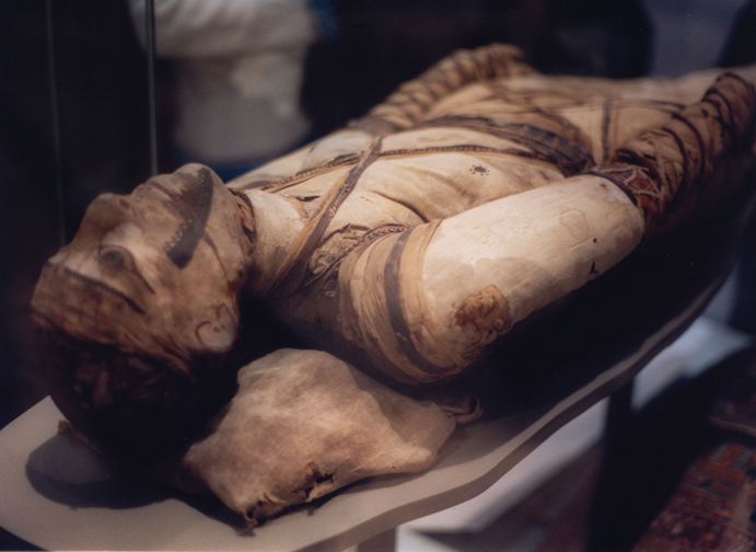 London: Tour of the British Museum - Price and Value: Is $14 a Good Deal in London?