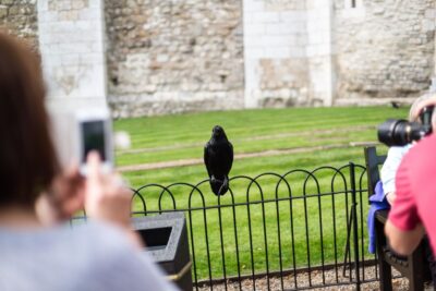 London: Tower of London Tour with Crown Jewels & Beefeaters - Beefeater Meet-and-Greet: Why 15 Minutes Can Matter