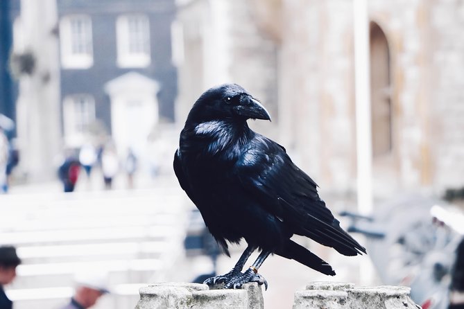 Private Tour London Highlights, entries Westminster Abbey, The Tower of London - Tower of London: Crown Jewels, Ravens, and Yeoman Warders