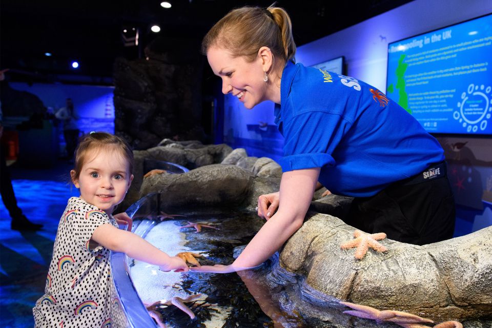 SEA LIFE London & DreamWorks Shrek's Adventure: Combo Ticket - Value for $66: when a combo ticket truly pays off