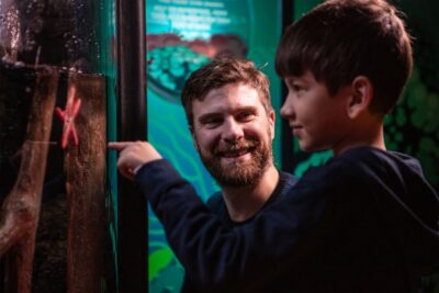 SEA LIFE London & DreamWorks Shrek's Adventure: Combo Ticket - SEA LIFE London: 3 floors of themed zones and shark time