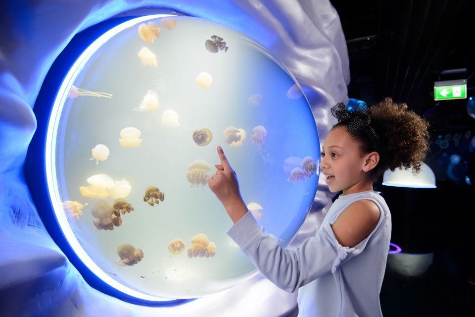 SEA LIFE London & DreamWorks Shrek's Adventure: Combo Ticket - Conservation learning: Breed, Rescue and Protect (and why it’s worth your time)