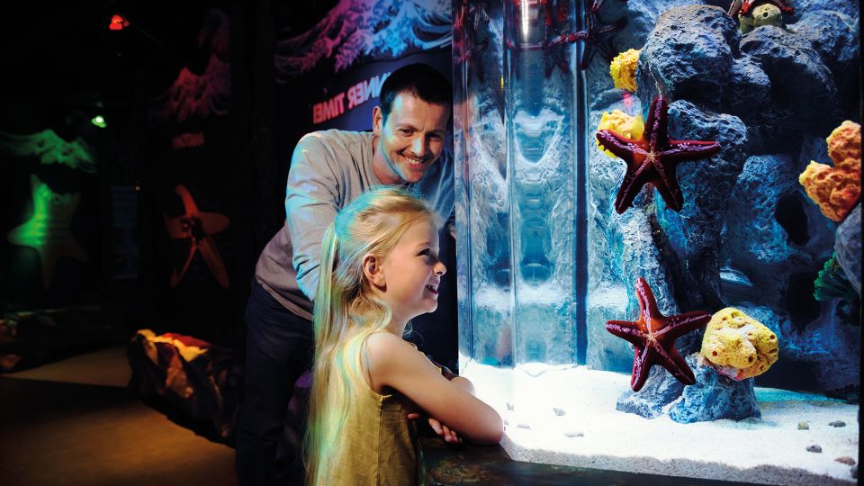 SEA LIFE London & DreamWorks Shrek's Adventure: Combo Ticket - Timing and how to avoid stress: SEA LIFE slot vs Shrek planning