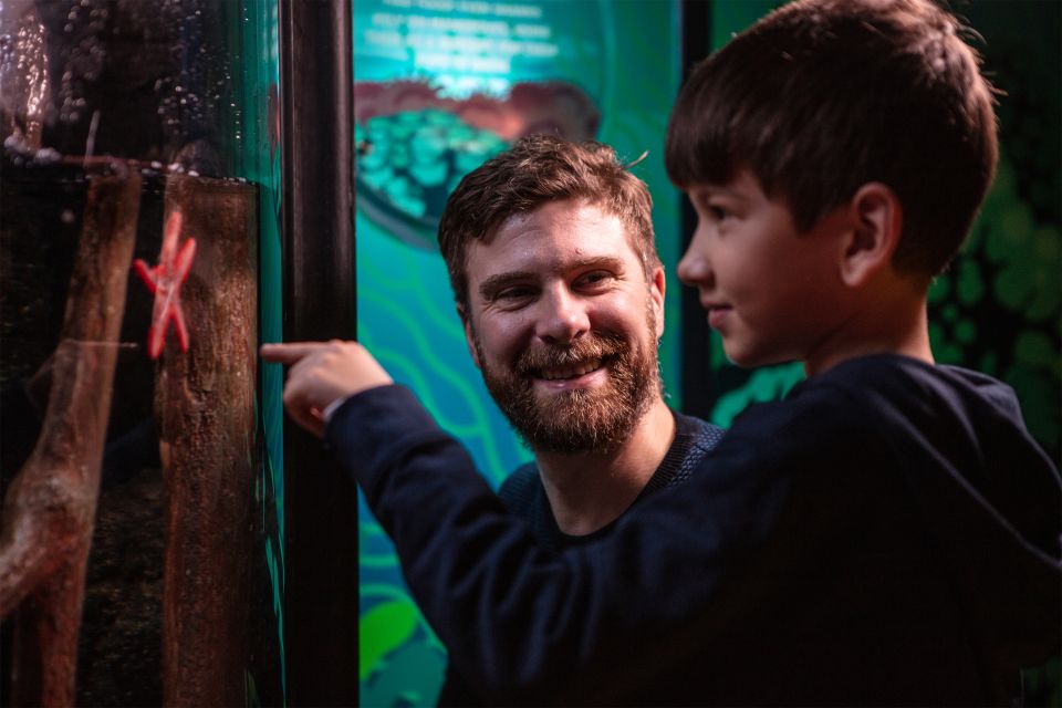 SEA LIFE London & DreamWorks Shrek's Adventure: Combo Ticket - SEA LIFE London: 3 floors of themed zones and shark time