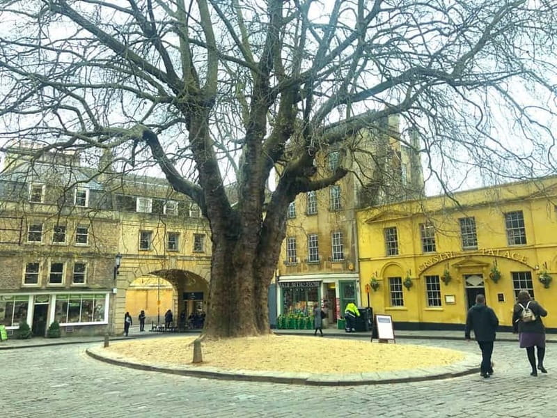 Stonehenge, Bath, Windsor and Roman Baths London Day Tours - How to choose between Stonehenge + Bath or Stonehenge + Windsor