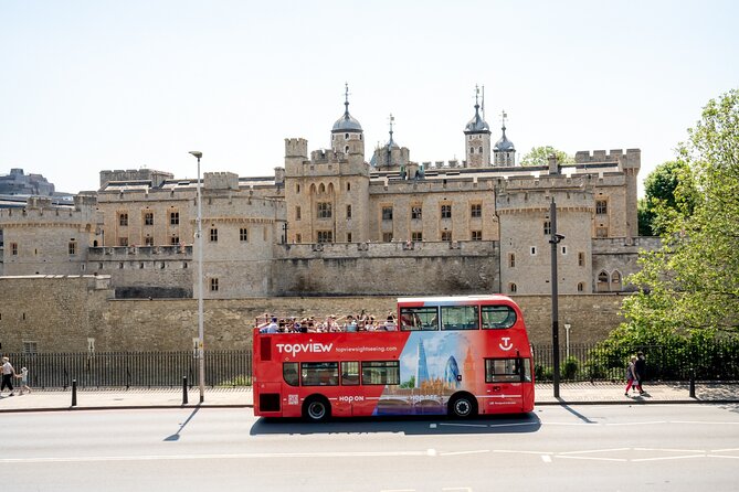 TopView® 48 Hr Hop on Hop off Bus Tour with River Cruise & Walks - The Thames cruise: the part that most people remember